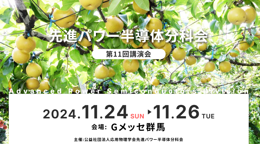 2024.11.24（SUN）～26（TUE）第11回　先進パワー半導体分科会に参加します。のサムネイル